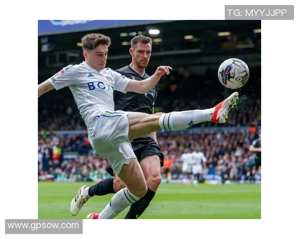 英冠联赛现役足球明星实力排名揭晓谁将成为新一代的传奇球员